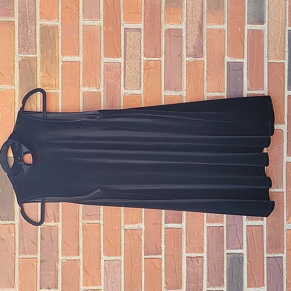 Velvet sleeveless swing dress